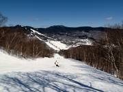 Bosafdaling naar het dalstation