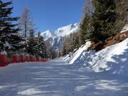 Skiweg van de piste Doss dei Cembri