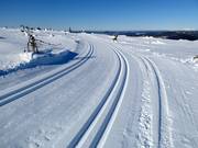 Loipe Toppspåret op de top