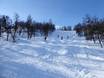Skigebieden voor gevorderden en off-piste skiërs Noord-Zweden – Gevorderden, off-piste skiërs Tänndalen
