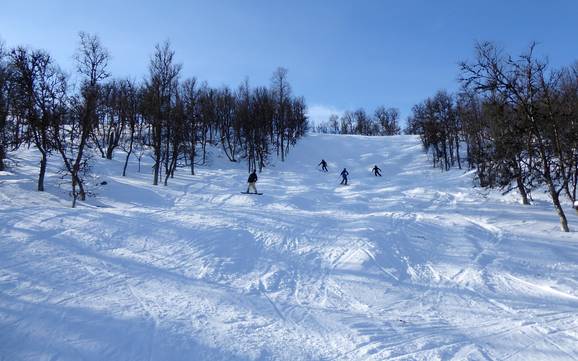 Skigebieden voor gevorderden en off-piste skiërs Funäsfjällen – Gevorderden, off-piste skiërs Tänndalen