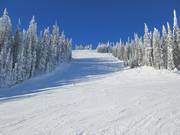 Afdaling East Bushwacker