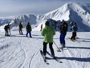 Behulpzame gastbegeleiders