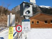 Adler7: De langste vlucht - fotofinish bij de finish