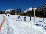 Vlek S - Pannenkoeklift