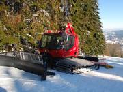 Eén van de tien pistebully’s