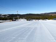 Oefenweide bij het dalstation in Nesfjellet