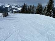 Op de Wastlhöhe zijn er vlakke pistes