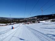 Trippelliften 2 - Sleeplift met T-beugel/Ankerlift