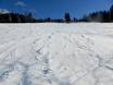Skigebieden voor gevorderden en off-piste skiërs Zwarte Woud – Gevorderden, off-piste skiërs Todtnauberg