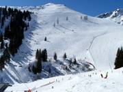 Freeridegebied bij de Zweitausender