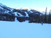 Middelzware piste Eagle Flight