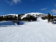 Lichte en brede familieafdaling