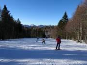 Lichte Jagerspitzhang