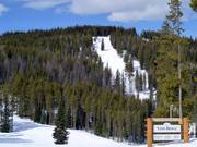 Uitzicht op de pistes Allover en Allover Glades