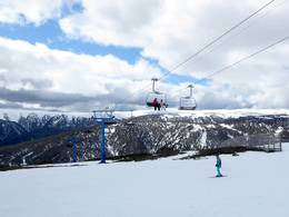 Halley’s Comet (Falls Express)