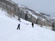 Gemakkelijke piste bij de stoeltjeslift Crescent Express