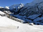 Dalafdaling Steinibach