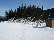 Sneeuwkanonnenopslag