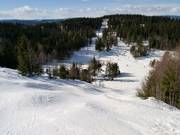 Buckelpiste in Oslo Vinterpark