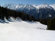 Dalafdaling Hannigalp-Grächen