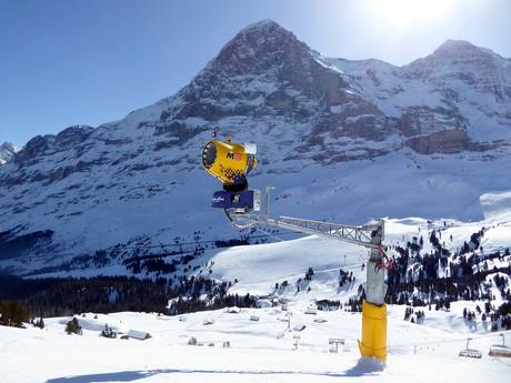 Sneeuwzekerheid Jungfrau Region – Sneeuwzekerheid Kleine Scheidegg/Männlichen – Grindelwald/Wengen