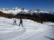 Gemakkelijke piste Campo Scuola Le Buse (Falcade)