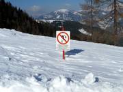 Skiën door het bos is verboden
