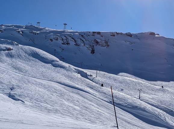 Diamant Noir - © Michael Medek - Foto: Michael Medek