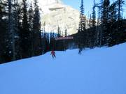 Gemakkelijke dalafdaling Banff Avenue