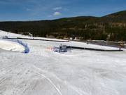 Tip voor de kleintjes 