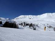 Uitzicht op de Plansegg in Serfaus