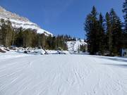 Piste nr. 40 Franzin