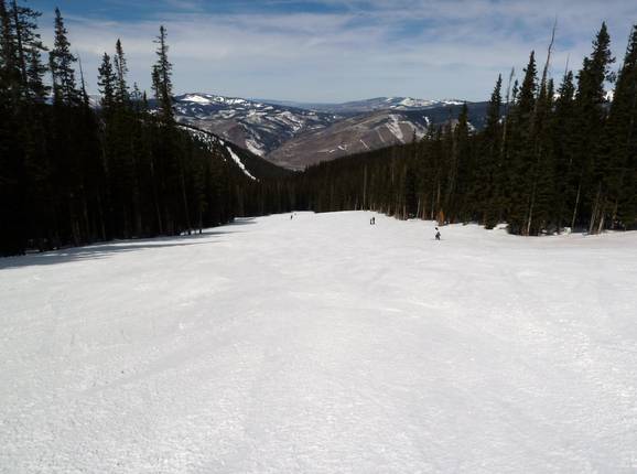 Typische bosafdaling in Vail