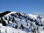 Variantenterrein in het topgebied van de Planai