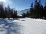 Hanse-Brand-Boden-afdaling