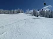 Afdaling bij de Flying Mozart