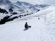 Tip voor de kleintjes 