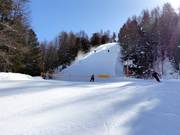 Moeilijke bosafdaling Berter