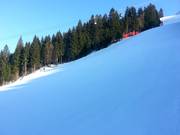 De Kandahar is steil