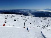 Finsterbach Freeride afdaling