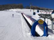 Tovermat (een van de vele in het skigebied)