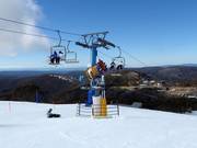 Krachtige sneeuwkanon op Mt. Hotham