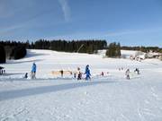 Ideaal terrein voor families