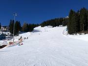 Pistes bij de Alblittbahn