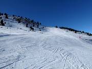 Aantrekkelijke piste bij de Cogulla