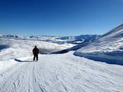 Makkelijke pistes zijn overal in het skigebied te vinden.
