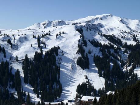 Skigebieden voor gevorderden en off-piste skiërs het westen van Oostenrijk – Gevorderden, off-piste skiërs Damüls Mellau