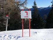 Pistebewegwijzering in het skigebied Schwemmalm