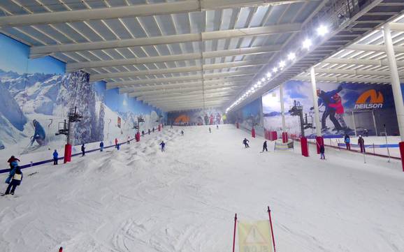 Oost-Engeland: beoordelingen van skigebieden – Beoordeling The Snow Centre – Hemel Hempstead